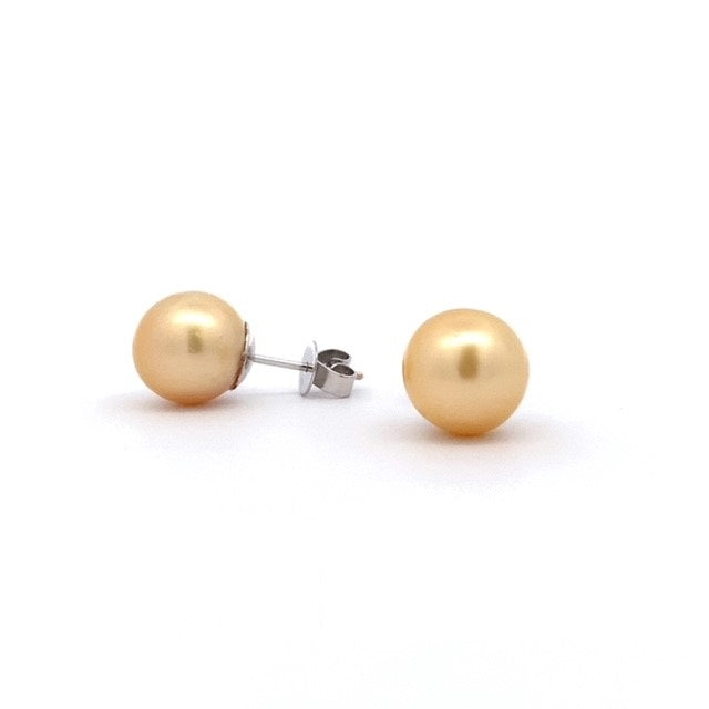 Parrys Jewellers 18ct White Gold 9mm Golden South Sea Pearl Stud Earrings