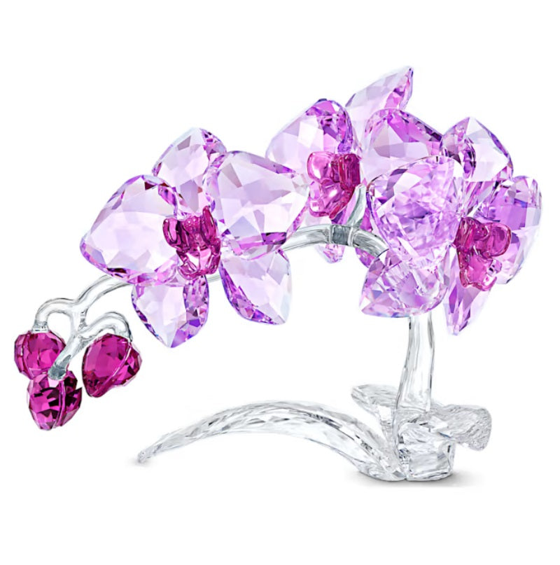 Swarovski Crystal Flowers:Orchid 5520373