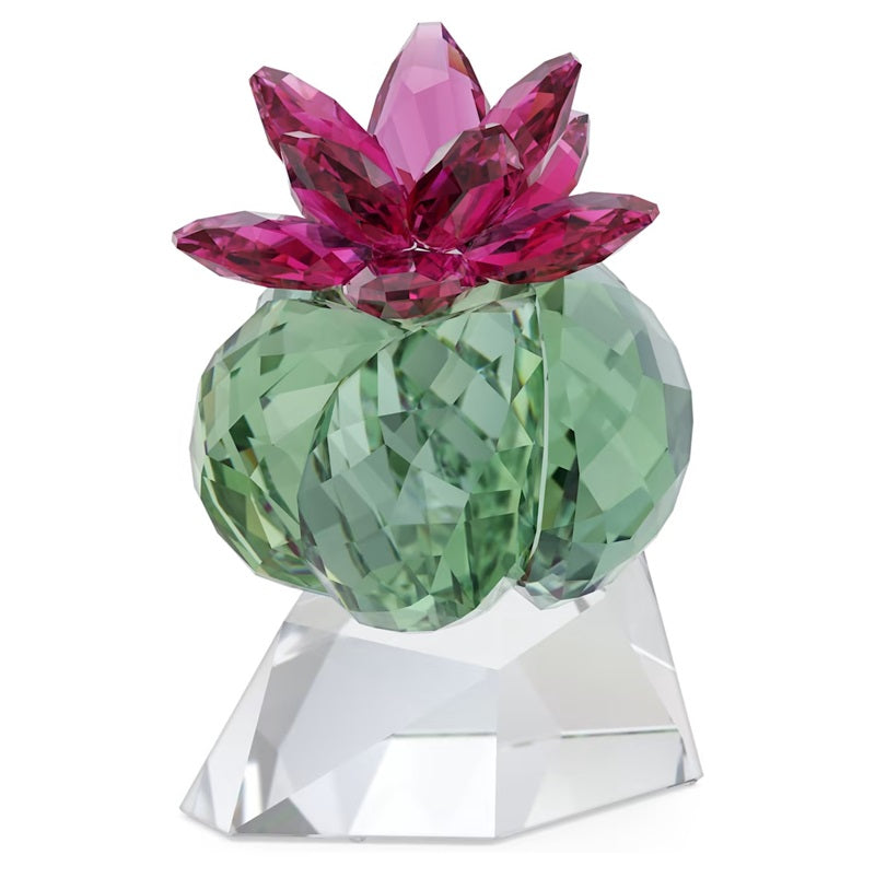 Swarovski Crystal Flowers Bordeaux Cactus 5426978