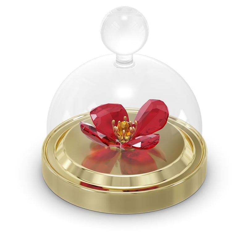 Swarovski Garden Tales Red Poppy Bell Jar Small 5646022